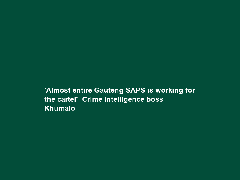 ‘Almost entire Gauteng SAPS is working for the cartel’ — Crime Intelligence boss Khumalo