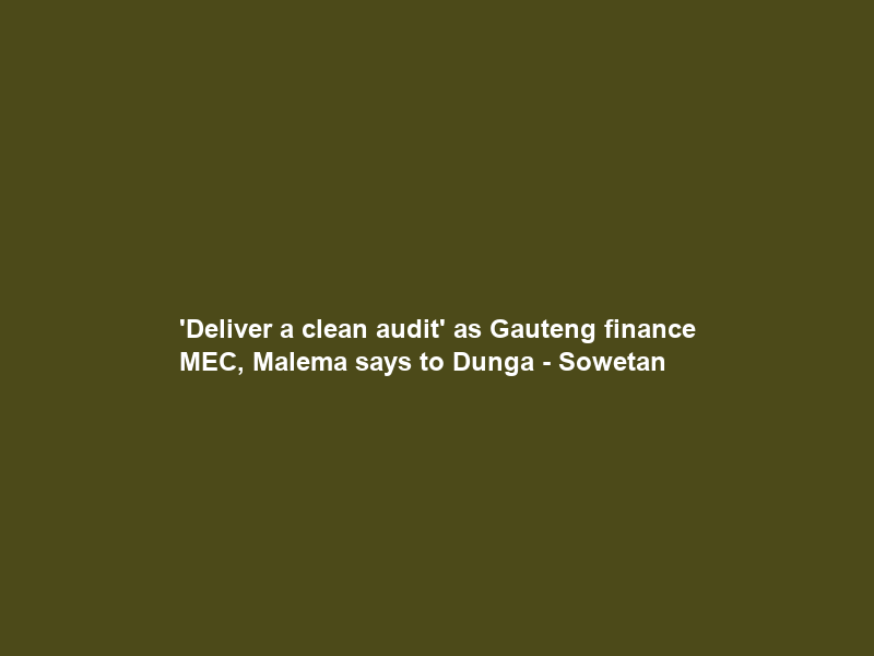 ‘Deliver a clean audit’ as Gauteng finance MEC, Malema says to Dunga – Sowetan