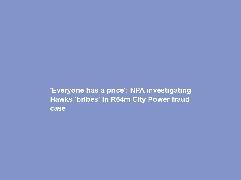 ‘Everyone has a price’: NPA investigating Hawks ‘bribes’ in R64m City Power fraud case