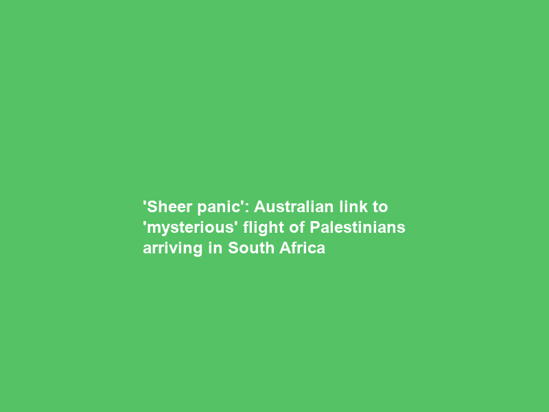 ‘Sheer panic’: Australian link to ‘mysterious’ flight of Palestinians arriving in South Africa