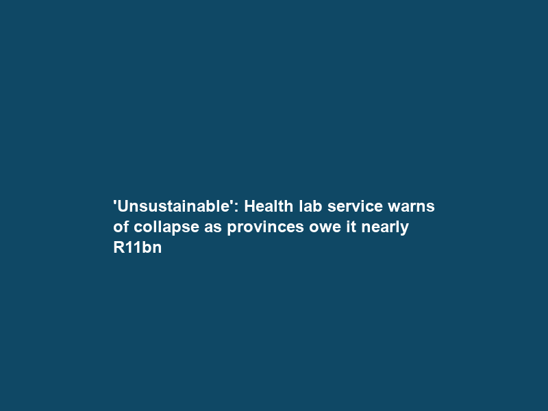 ‘Unsustainable’: Health lab service warns of collapse as provinces owe it nearly R11bn