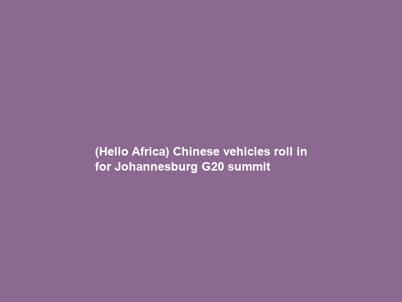 (Hello Africa) Chinese vehicles roll in for Johannesburg G20 summit