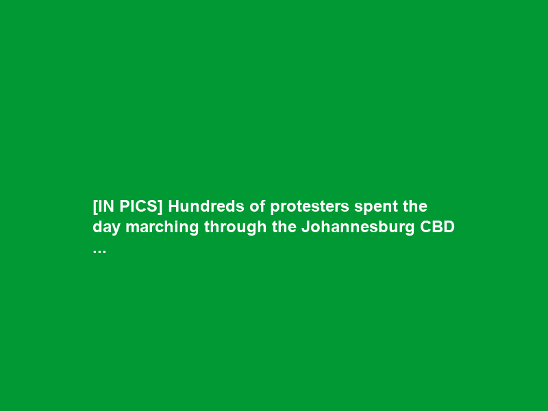 [IN PICS] Hundreds of protesters spent the day marching through the Johannesburg CBD …
