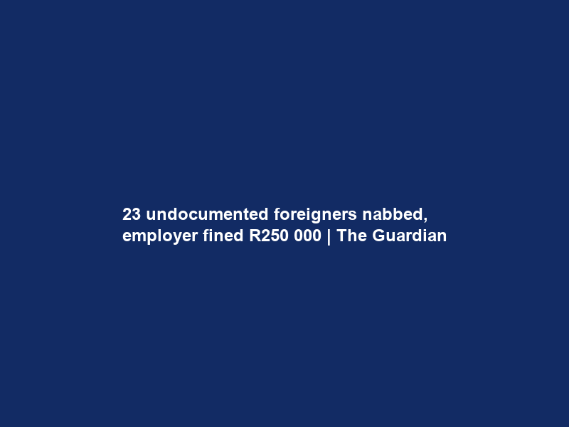 23 undocumented foreigners nabbed, employer fined R250 000 | The Guardian