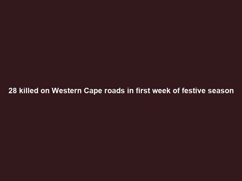 28 killed on Western Cape roads in first week of festive season