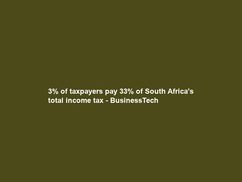 3% of taxpayers pay 33% of South Africa’s total income tax – BusinessTech