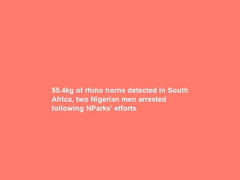 55.4kg of rhino horns detected in South Africa, two Nigerian men arrested following NParks’ efforts