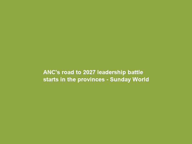 ANC’s road to 2027 leadership battle starts in the provinces – Sunday World