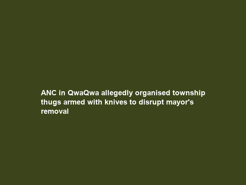 ANC in QwaQwa allegedly organised “township thugs” armed with knives to disrupt mayor’s removal