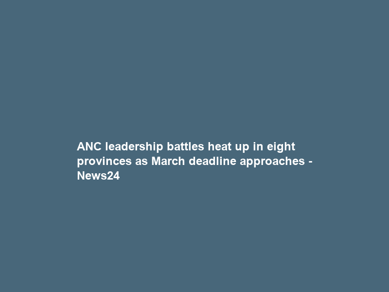 ANC leadership battles heat up in eight provinces as March deadline approaches – News24