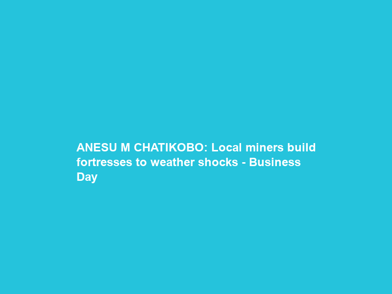 ANESU M CHATIKOBO: Local miners build fortresses to weather shocks – Business Day