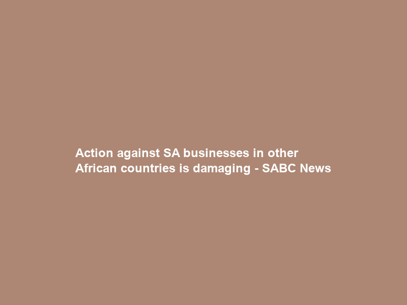 Action against SA businesses in other African countries is damaging – SABC News