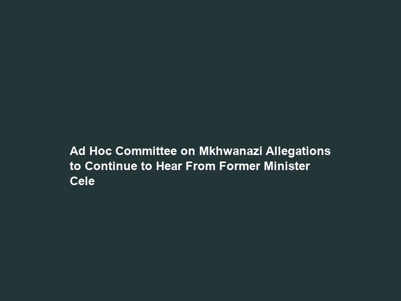Ad Hoc Committee on Mkhwanazi Allegations to Continue to Hear From Former Minister Cele