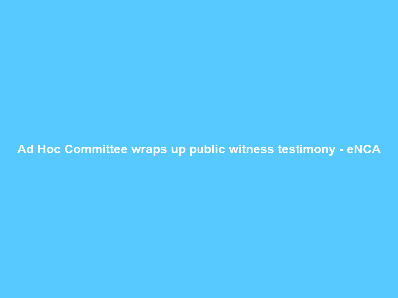 Ad Hoc Committee wraps up public witness testimony – eNCA