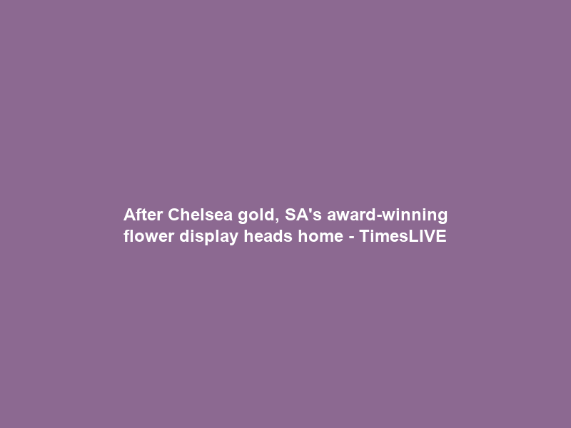 After Chelsea gold, SA’s award-winning flower display heads home – TimesLIVE