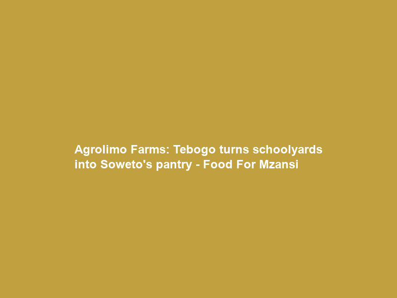 Agrolimo Farms: Tebogo turns schoolyards into Soweto’s pantry – Food For Mzansi