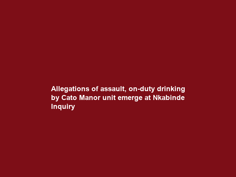 Allegations of assault, on-duty drinking by Cato Manor unit emerge at Nkabinde Inquiry