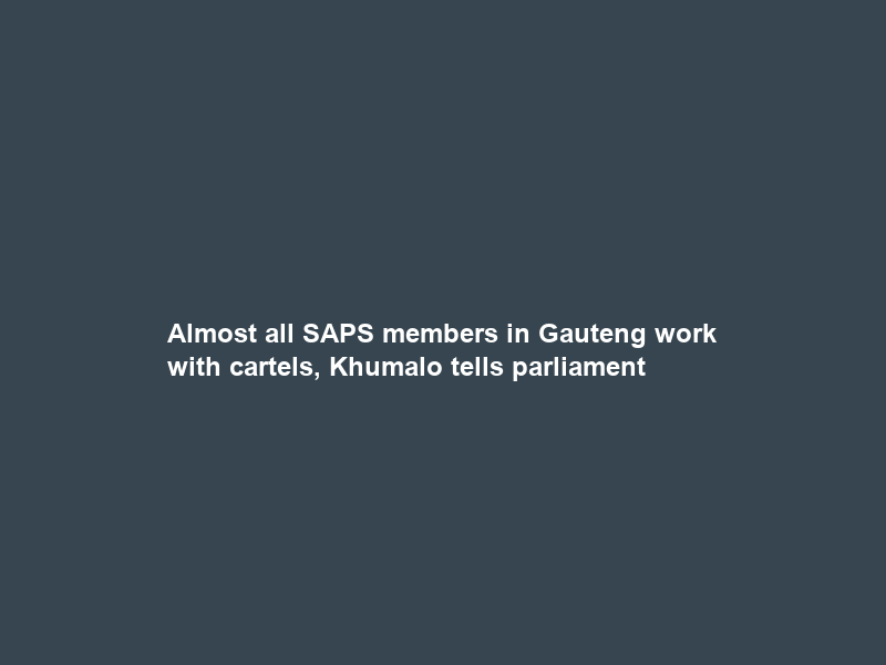 Almost all SAPS members in Gauteng work with cartels, Khumalo tells parliament