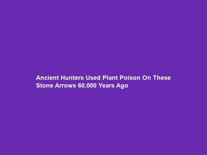Ancient Hunters Used Plant Poison On These Stone Arrows 60,000 Years Ago