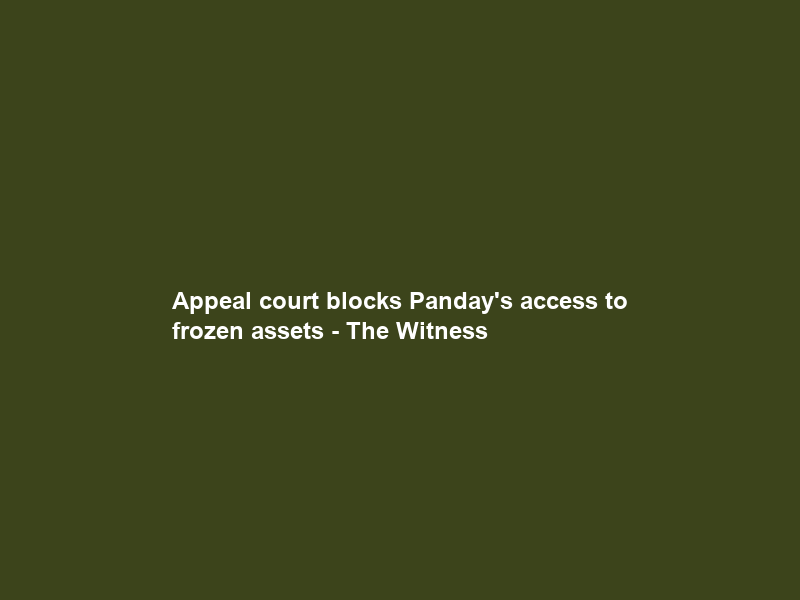 Appeal court blocks Panday’s access to frozen assets – The Witness