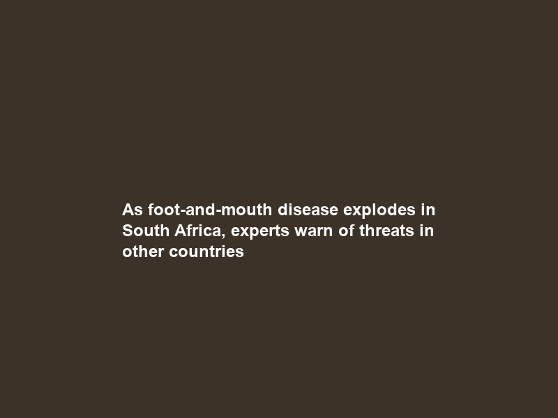 As foot-and-mouth disease explodes in South Africa, experts warn of threats in other countries