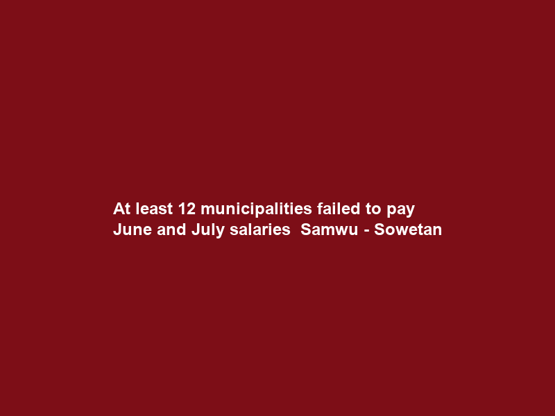 At least 12 municipalities failed to pay June and July salaries — Samwu – Sowetan
