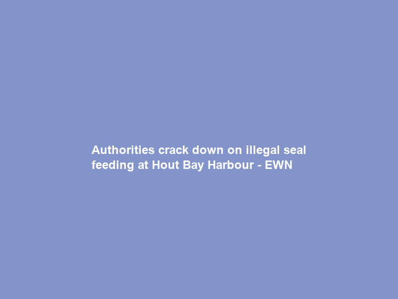 Authorities crack down on illegal seal feeding at Hout Bay Harbour – EWN