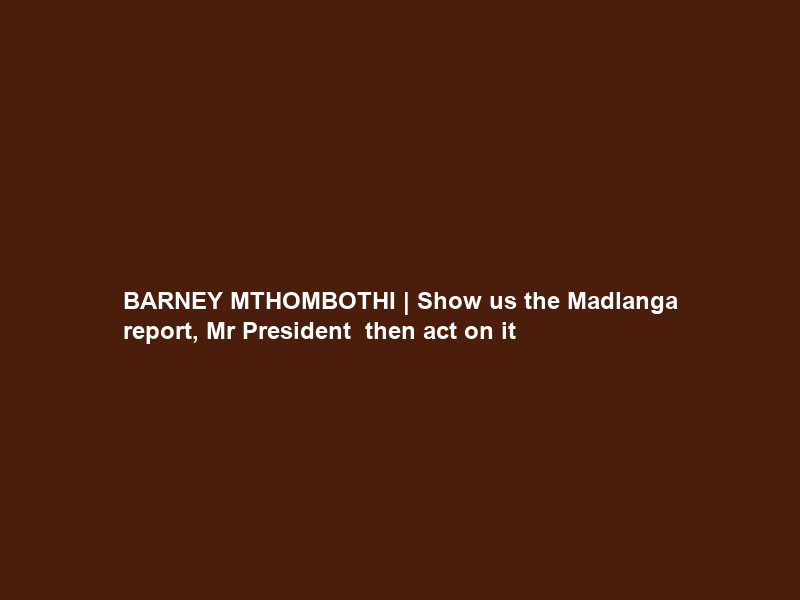 BARNEY MTHOMBOTHI | Show us the Madlanga report, Mr President — then act on it