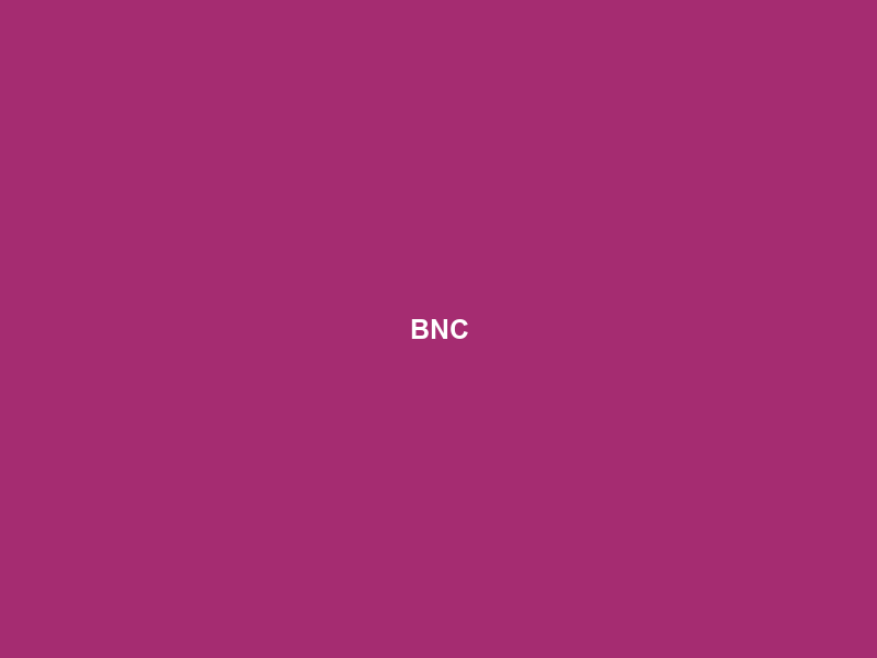 BNC#8: Herman Mashaba on South Africa’s collapse – “Fix Johannesburg or lose everything!”