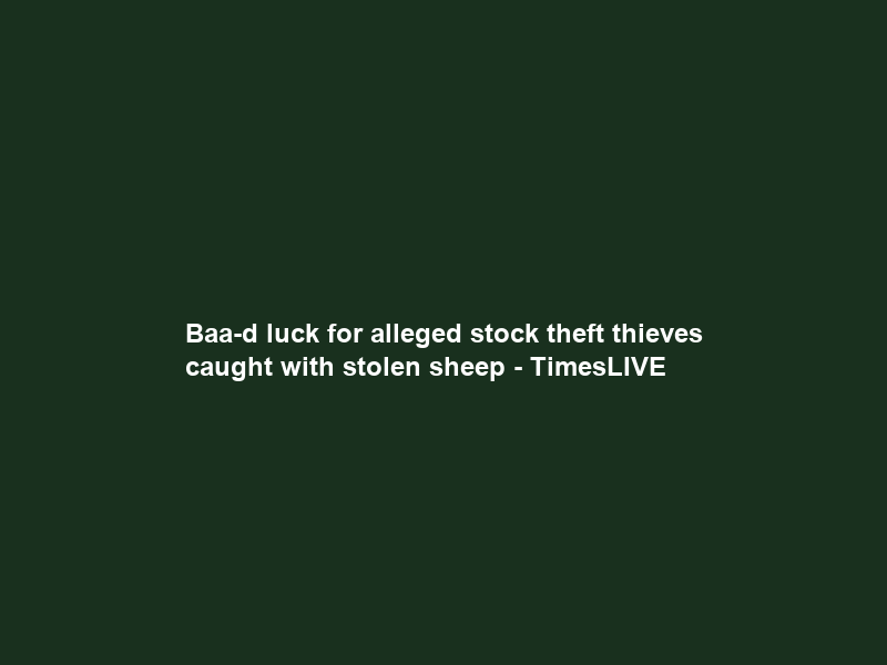 Baa-d luck for alleged stock theft thieves caught with stolen sheep – TimesLIVE
