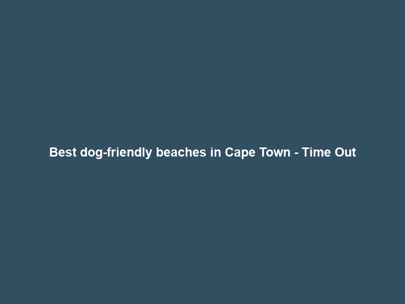 Best dog-friendly beaches in Cape Town – Time Out