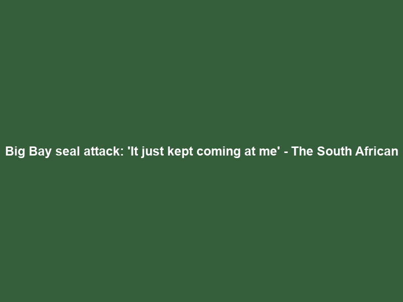 Big Bay seal attack: ‘It just kept coming at me’ – The South African