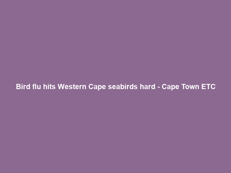 Bird flu hits Western Cape seabirds hard – Cape Town ETC