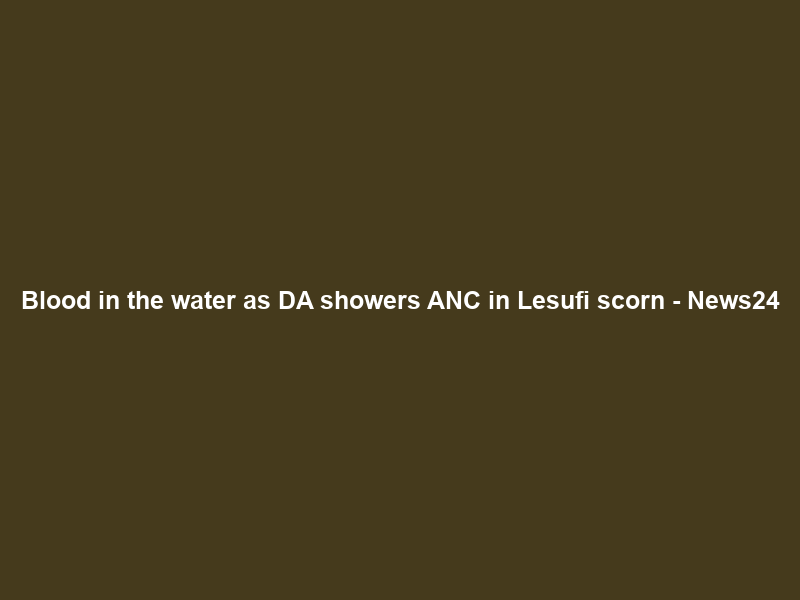 Blood in the water as DA showers ANC in Lesufi scorn – News24