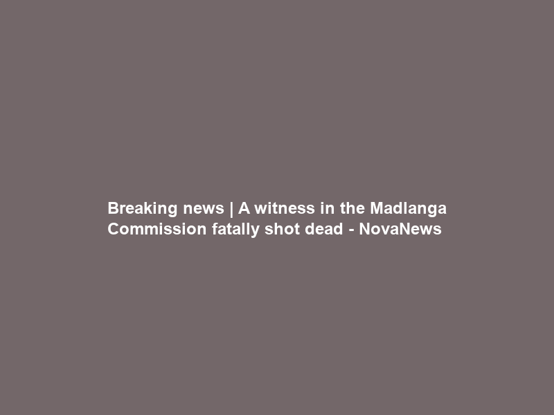Breaking news | A witness in the Madlanga Commission fatally shot dead – NovaNews