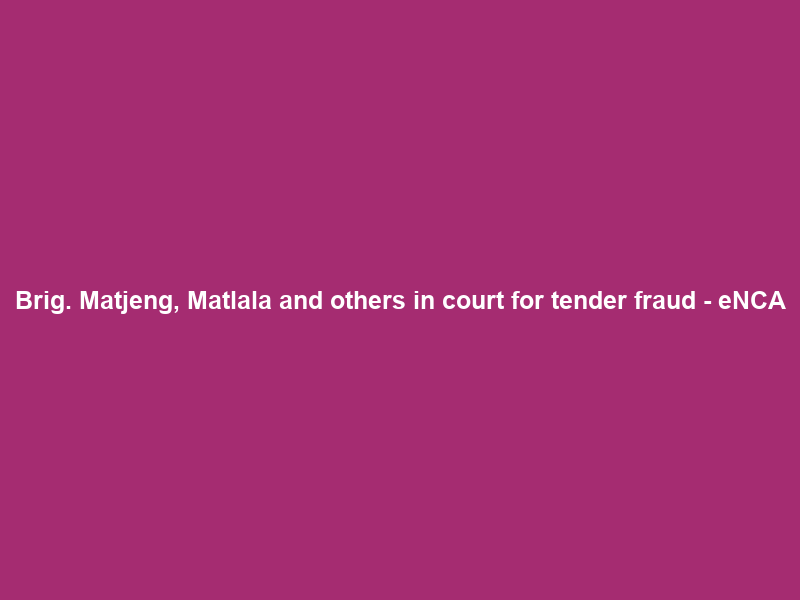 Brig. Matjeng, Matlala and others in court for tender fraud – eNCA