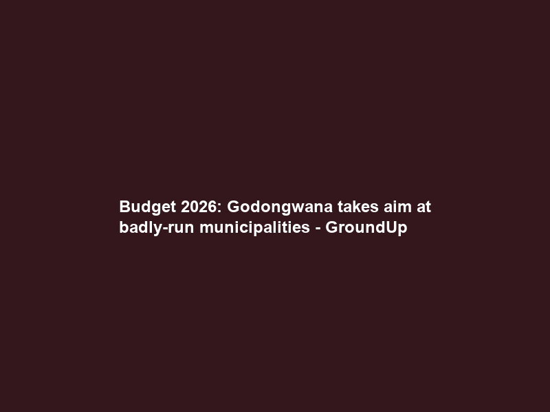 Budget 2026: Godongwana takes aim at badly-run municipalities – GroundUp