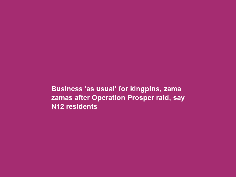 Business ‘as usual’ for kingpins, zama zamas after Operation Prosper raid, say N12 residents