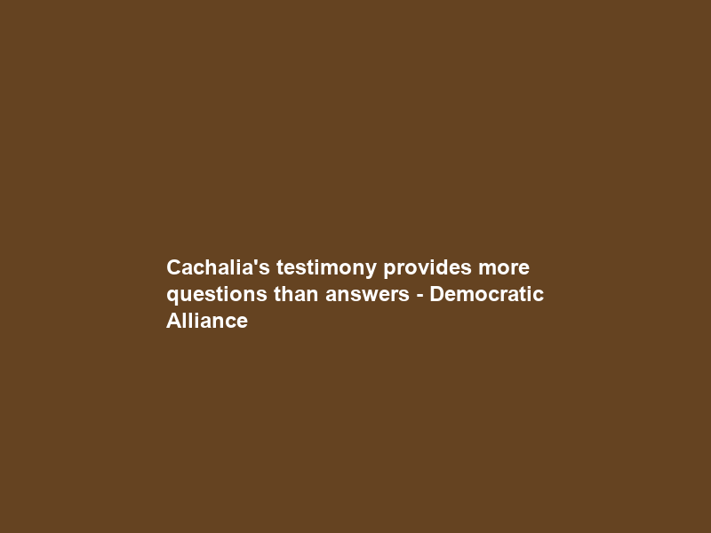 Cachalia’s testimony provides more questions than answers – Democratic Alliance