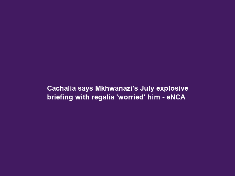 Cachalia says Mkhwanazi’s July explosive briefing with regalia ‘worried’ him – eNCA