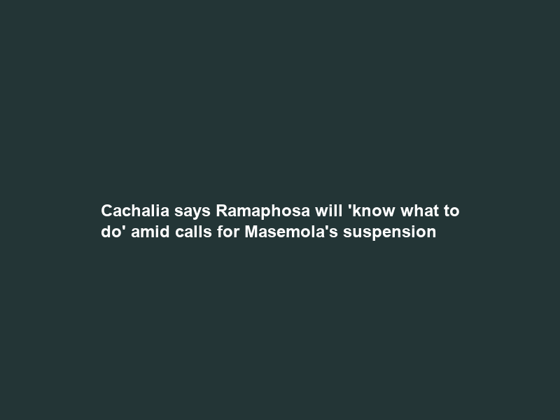 Cachalia says Ramaphosa will ‘know what to do’ amid calls for Masemola’s suspension