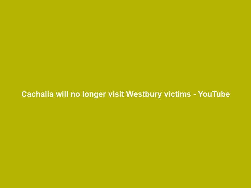 Cachalia will no longer visit Westbury victims – YouTube
