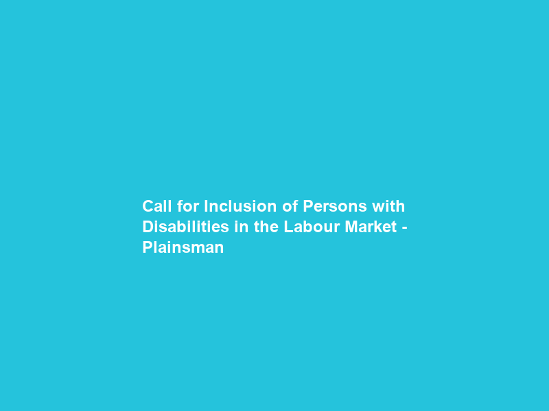 Call for Inclusion of Persons with Disabilities in the Labour Market – Plainsman