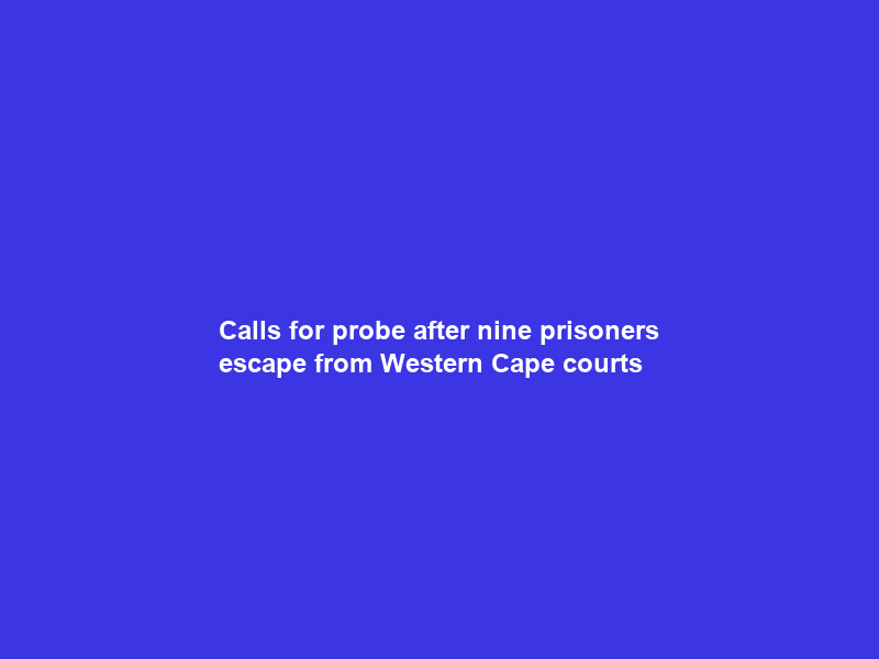 Calls for probe after nine prisoners escape from Western Cape courts
