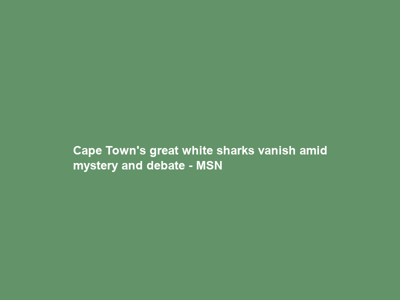 Cape Town’s great white sharks vanish amid mystery and debate – MSN
