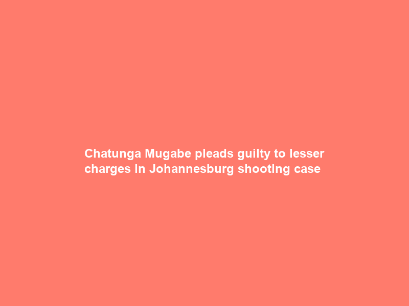 Chatunga Mugabe pleads guilty to lesser charges in Johannesburg shooting case