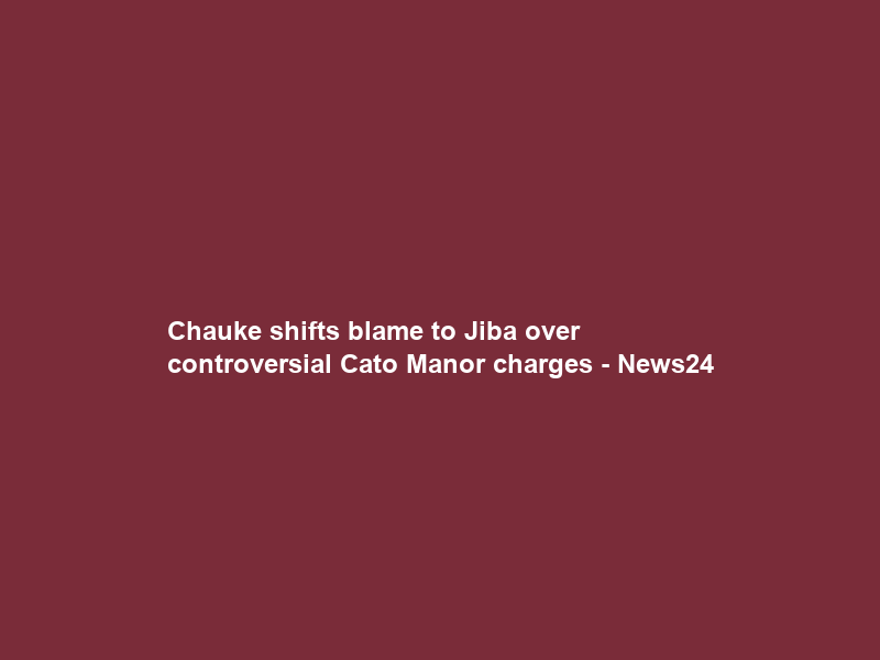 Chauke shifts blame to Jiba over controversial Cato Manor charges – News24