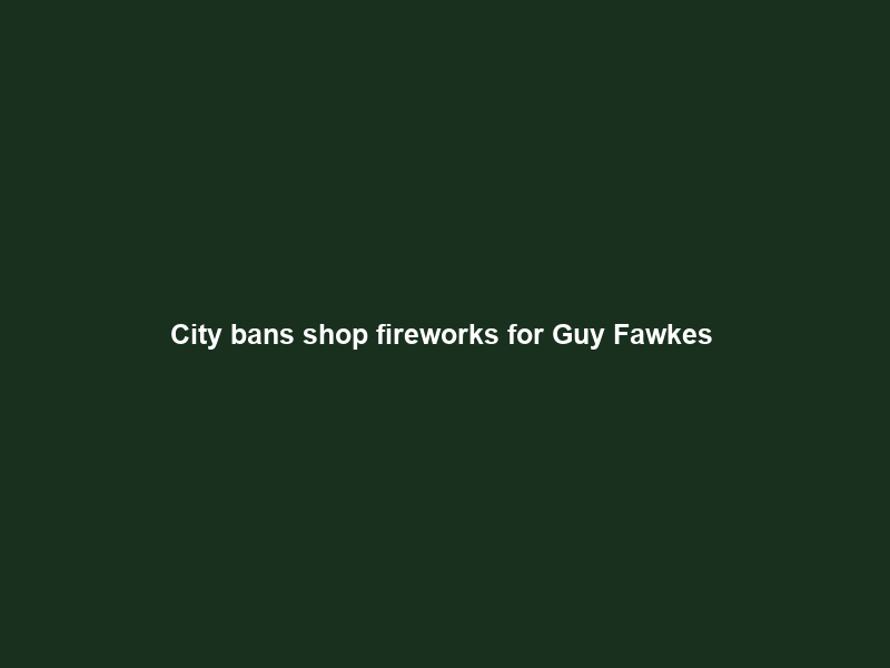 City bans shop fireworks for Guy Fawkes & New Years – Cape Town ETC
