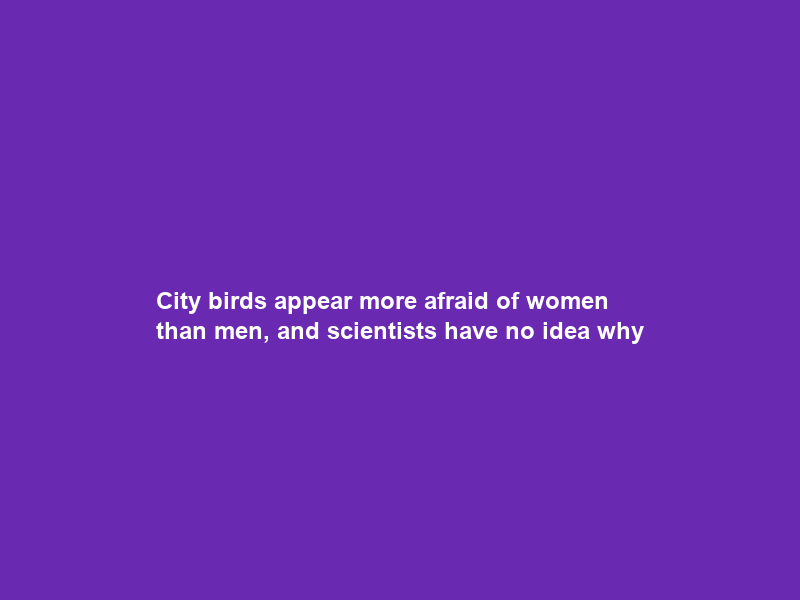 City birds appear more afraid of women than men, and scientists have no idea why