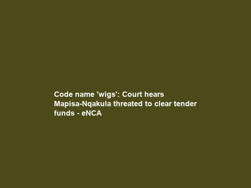 Code name ‘wigs’: Court hears Mapisa-Nqakula threated to clear tender funds – eNCA
